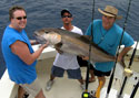 This huge Amberjack was caught while wreck fishing off Hollywood Beach