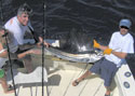 Catch & Release - This fish was caught between Hollywood and Sunny Isles Beach