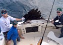 Catch & Release - This young angler won the battle off the coast of Miami Beach