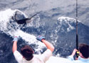 Deep Sea Fishing Charters provide thrills and excitement