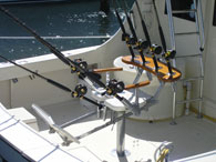 Miami Charter Boat Captain Paul Lee