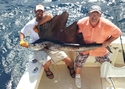Sailfish caught aboard Old Hat on a fishing charter.